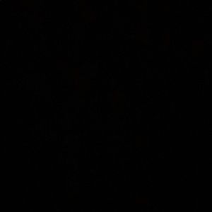 Meet your Posher, Beatriz